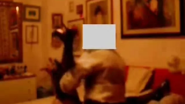 Porno không đăng ký  Tóc vàng trong vớ muốn một đôi thâm nhập trong các đít phim sec liem lon