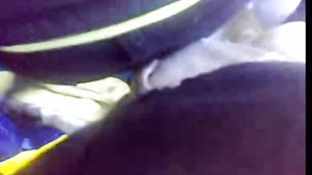 Porno không đăng ký  Negro lấy davalku sec kg che trắng ngọt ngào